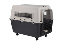 Airline Carrier