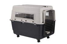 Airline Carrier