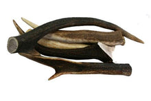 Deer antler dog treat nz