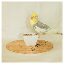 Topflite Cockatiel Mix