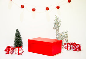 Christmas Mystery Box Cat