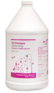 Nootie Shampoo