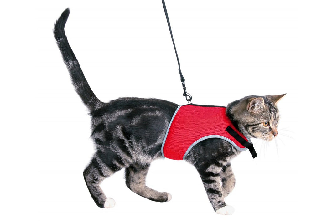 Soft Harness for Cats