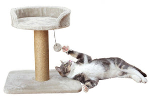 Cat Tree Mica