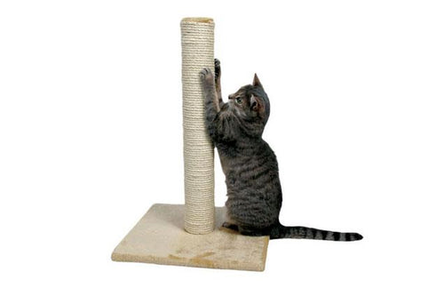 Cat Tree Parla