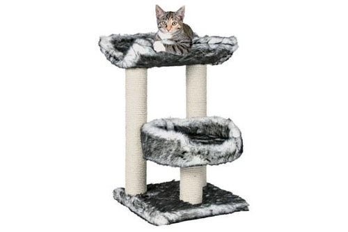 Cat Tree Isaba