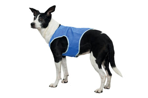 Trixie Cooling Vest