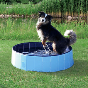 Dog Pool