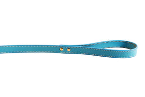 Leather Stitched Lead