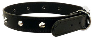 Stitched Studded Collar