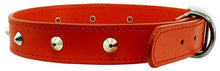 Stitched Studded Collar