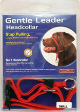 Gentle Leader - Head Collar