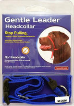 Gentle Leader - Head Collar