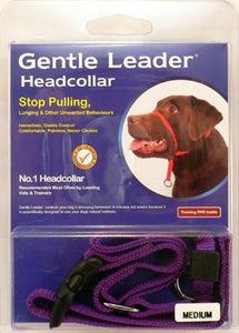 Gentle Leader - Head Collar