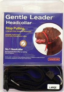 Gentle Leader - Head Collar