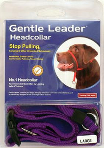 Gentle Leader - Head Collar