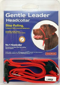 Gentle Leader - Head Collar