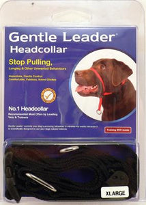 Gentle Leader - Head Collar