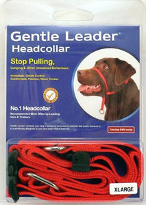 Gentle Leader - Head Collar