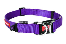 EzyDog Collar Double Up