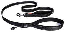 EzyDog Leash Soft Trainer