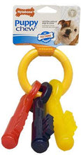 Nylabone Puppy Teething Keys
